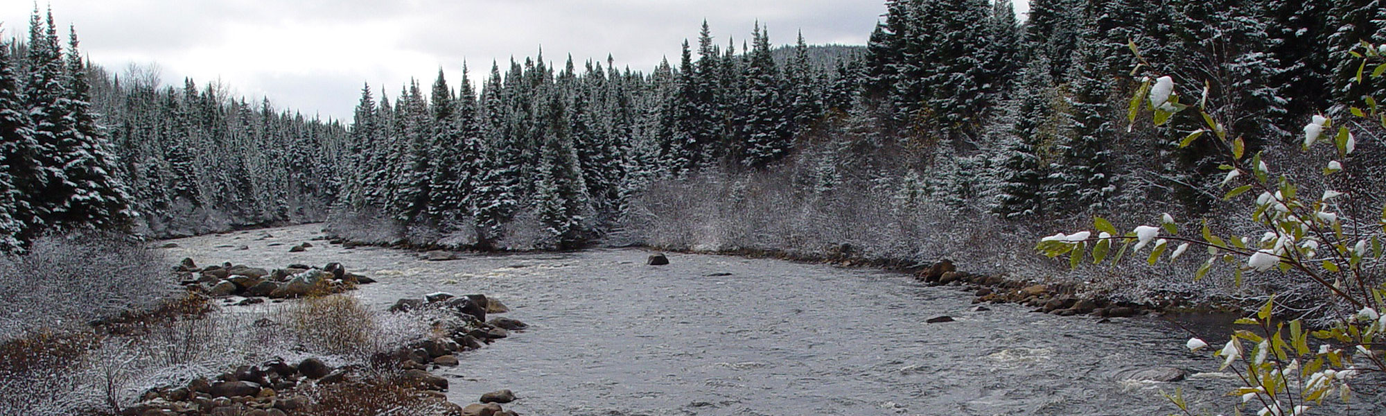 SAVOIR-S’ACTIVER l'hiver La Pourvoirie présente une offre variée d’activités accessibles à tous, tout au long de l’année. L’hiver, quel bonheur de pouvoir profiter d’accumulations de neige aussi exceptionnelles (jusqu’à 6 m) si près de Québec! Plus timide, la nature est aussi belle qu’en été. Profitez des nombreux sentiers pour la découvrir. Et voyagez léger. La Pourvoirie a pensé à tout!