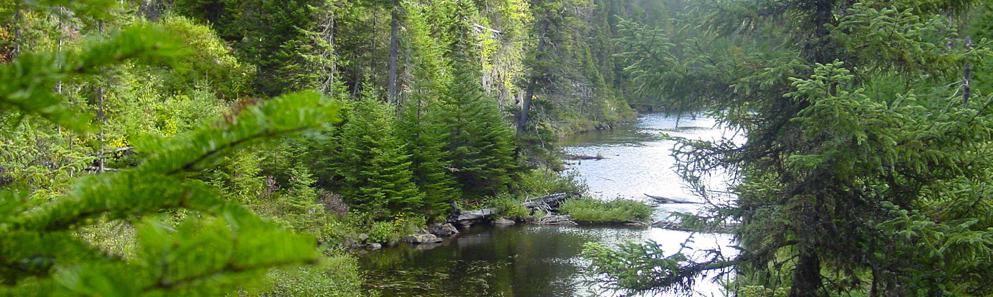 SAVOIR-APPRÉCIER la générosité de la nature Une grande connaissance et un immense respect de la nature guident la gestion de la Pourvoirie. Afin de protéger l’authenticité de l’expérience ainsi que l’abondance et la qualité de la ressource, elle propose des quotas exemplaires de chasse et de pêche. De plus, aucun de ses 32 lacs n’est ensemencé, offrant une truite mouchetée à la chair tendre et goûteuse.